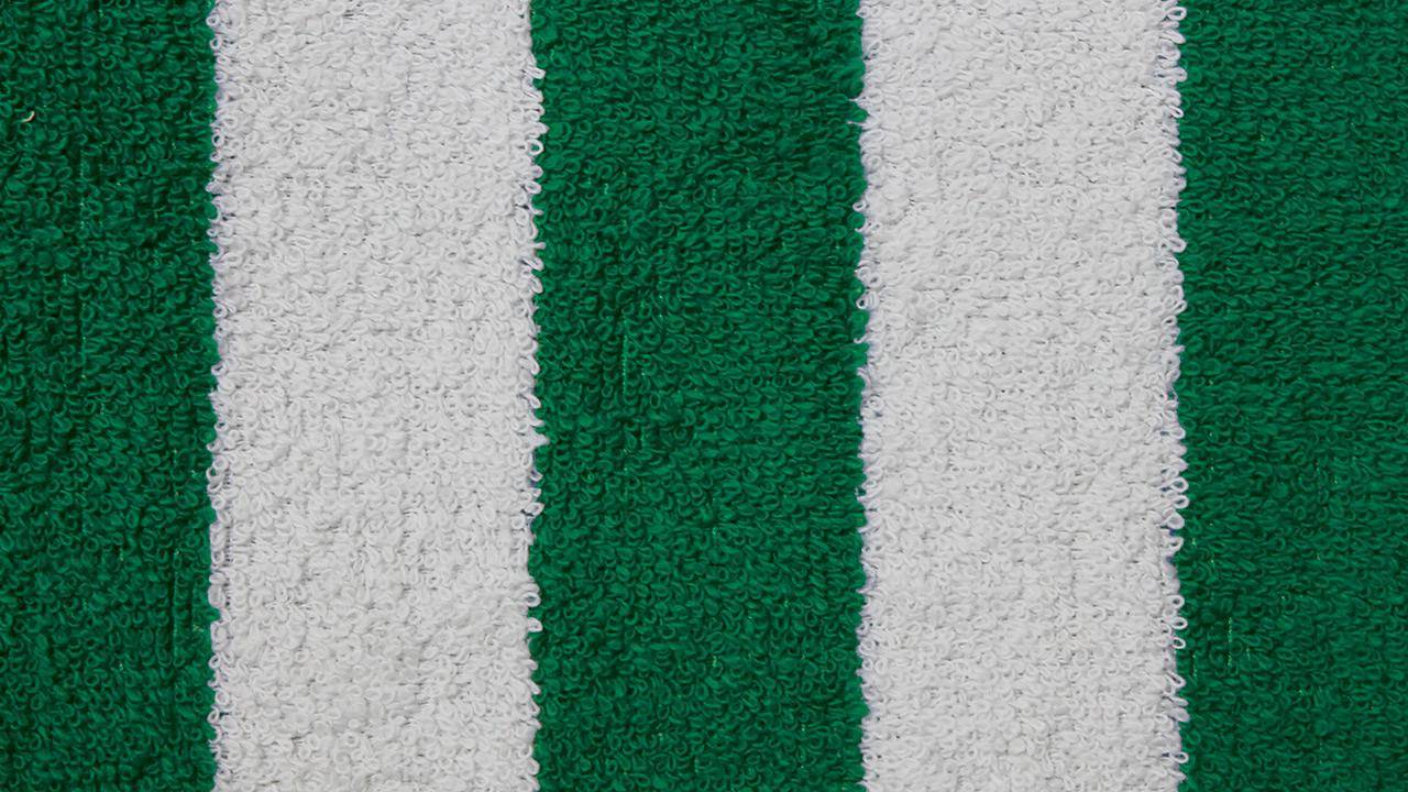 couleur-eponge-blanc-vert