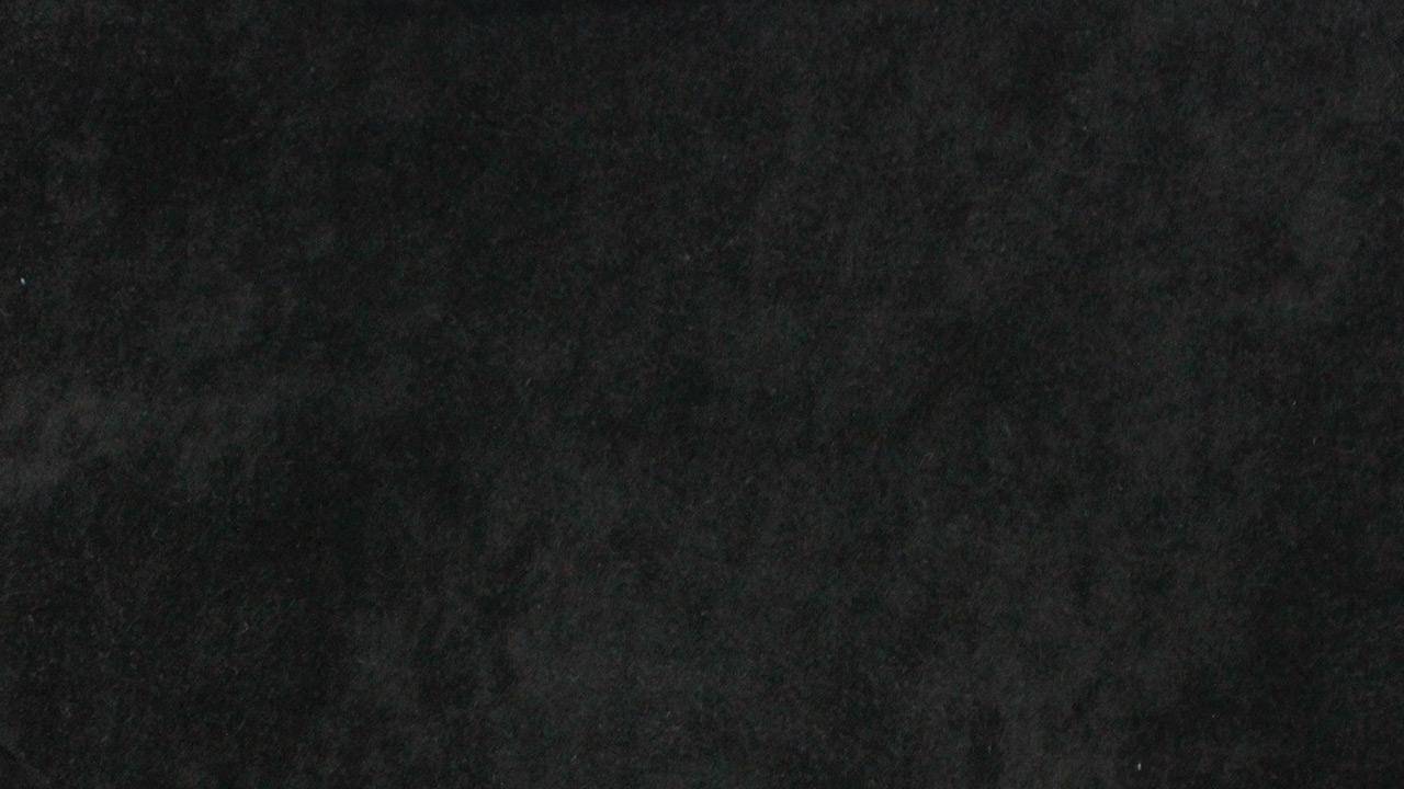couleur-eponge-noire